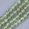 Natural Prehnite Beads Strands G-S333-6mm-032-1