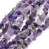 Natural Amethyst Beads Strands X-G-P332-07-1