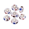 Handmade Lampwork & Brass Core European Beads LAMP-N044-04S-01-1