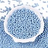Glass Seed Beads SEED-T007-01N-1