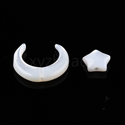 Natural White Shell Beads Sets SSHEL-N032-52B-01-1