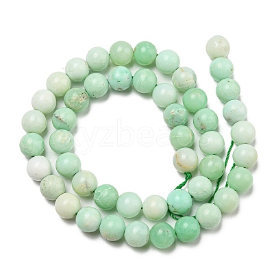 Grade A Natural Chrysoprase Beads Strands G-R494-A02-03-1