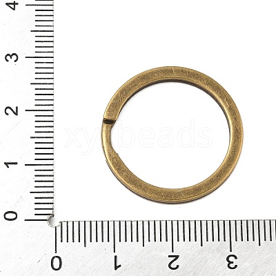 Iron Split Rings IFIN-H065-02B-AB-1