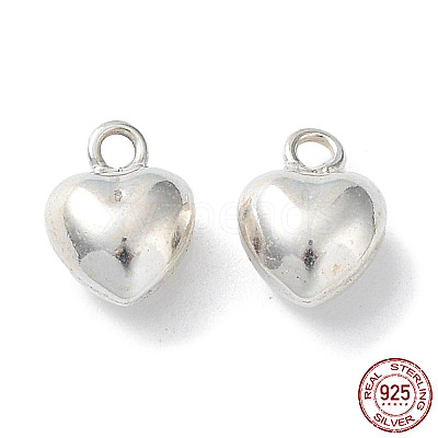 925 Sterling Silver Charms STER-H106-01C-S-1
