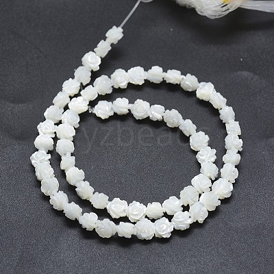 Natural White Shell Beads Strands SSHEL-P015-01A-8mm-1