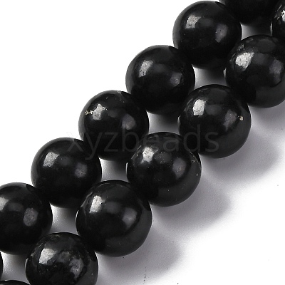 Natural Shungite Beads Strands G-M353-A04-12mm-1