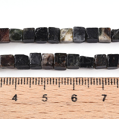 Natural Biotite Beads Strands G-T140-39B-1