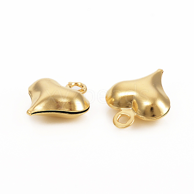 304 Stainless Steel Charms LS-STAS-I149-05A-G-1