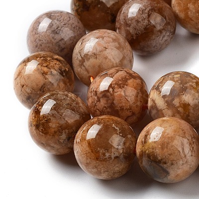Natural Flower Agate Beads Strands G-B044-A01-04-1