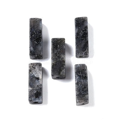Natural Larvikite Beads G-G137-01M-1