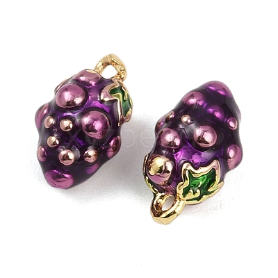 Brass Enamel Charms KK-L231-21G-06-1