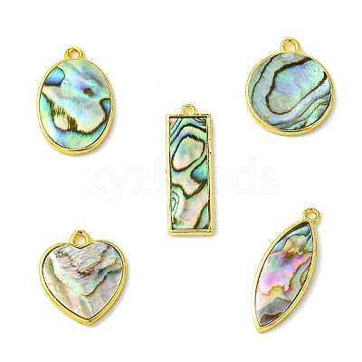 5Pcs 5 Styles Natural Paua Shell Pendants KK-CJ0003-10-1