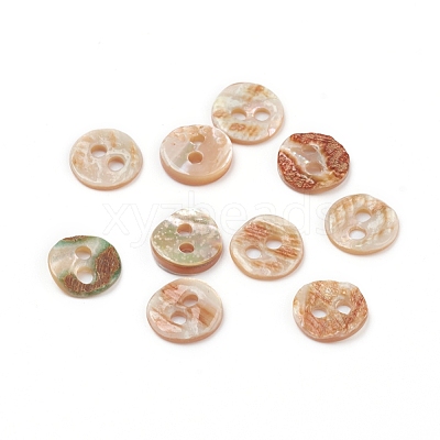 Abalone Shell/Paua Shell BSHE-I011-04E-1