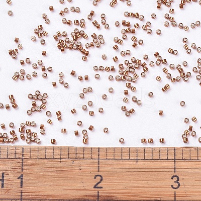 MIYUKI Delica Beads X-SEED-J020-DB0421-1