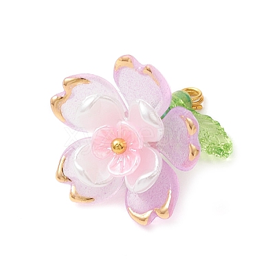 Transparent Acrylic Pendants PALLOY-MZ00822-04-1