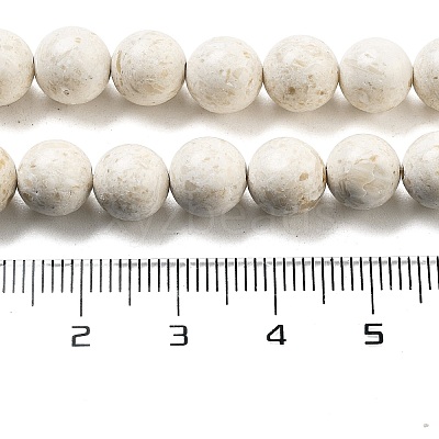 Natural Fossil Beads Strands G-H026-02B-1
