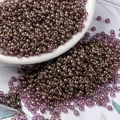 MIYUKI Round Rocailles Beads X-SEED-G008-RR2448-1