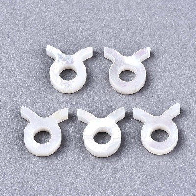 Natural White Shell Beads X-SSHEL-ZX004-02H-1