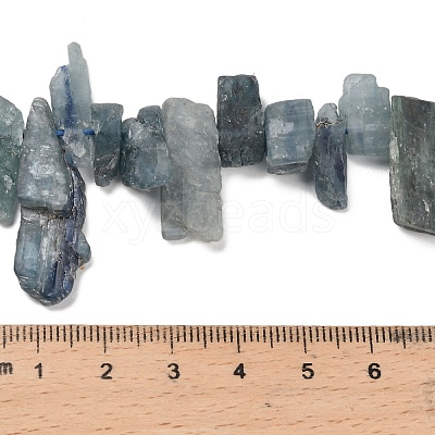 Natural Kyanite Beads Strands G-C253-04-1