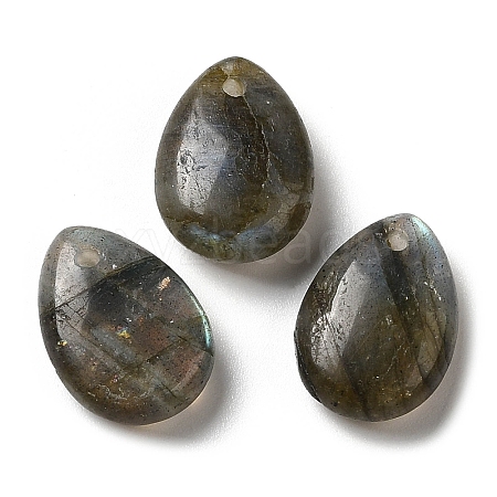 Natural Labradorite Teardrop Charms G-M410-01-01-1