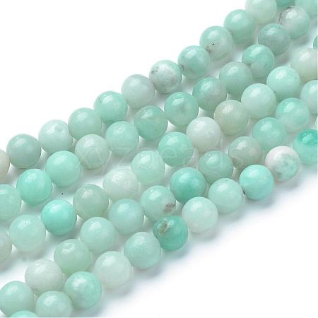 Natural Amazonite Beads Strands G-T055-10mm-17-1