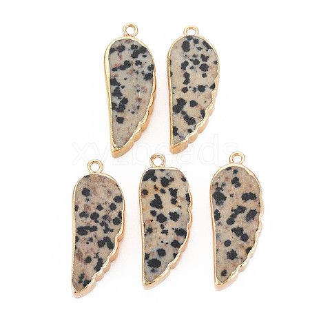 Natural Dalmatian Jasper Pendants G-N326-127-A03-1