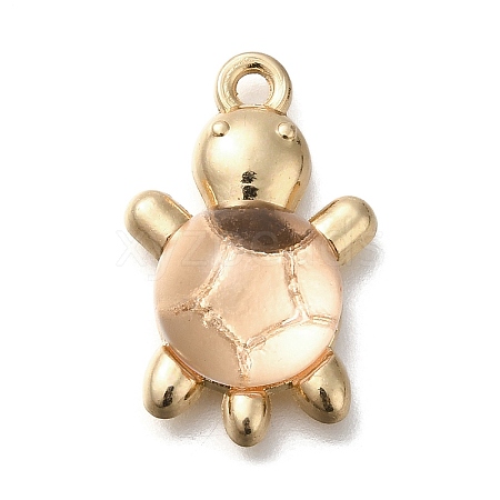 Acrylic Alloy Pendants FIND-M041-03E-1