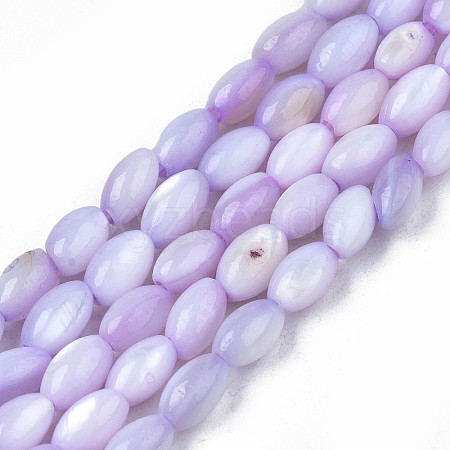 Natural Freshwater Shell Beads Strands X-SHEL-N003-25-B04-1