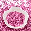 Baking Paint Glass Seed Beads SEED-S042-15B-27-2