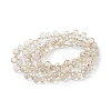 Transparent Electroplate Glass Beads Strands EGLA-F152B-PL03-2