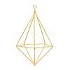 Iron Plant Hangers X-IFIN-N012-02G-2