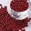 Baking Paint Glass Seed Beads SEED-S001-K14-1