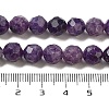 Natural Lepodolite Beads Strands G-C150-B03-01-5