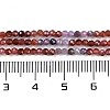 Natural Colorful Spinel Beads Strands G-P553-G03-01-5