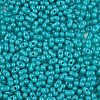 Baking Paint Glass Seed Beads SEED-L011-09A-07-3