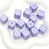 2Pcs Printed Opaque Acrylic Square Beads PW-WGD1F08-05-1