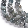 Natural Eagle Eye Beads Strands X-G-I281-02-4mm-3