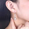 925 Sterling Silver Dangle Earrings EJEW-BB30534-P-3