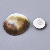 Natural Shell Cabochons SSHEL-S258-93-3