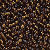 6/0 Glass Seed Beads X1-SEED-A005-4mm-53-2