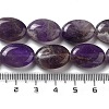 Natural Amethyst Beads Strands G-P528-M16-01-5