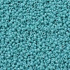 MIYUKI Round Rocailles Beads SEED-G007-RR0485-3