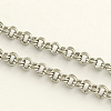 Tarnish Resistant 3.28 Feet 304 Stainless Steel Double Link Rolo Chains X-CHS-R009-07-1