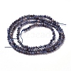 Natural Cordierite/Iolite/Dichroite  Beads Strands G-K182-2mm-24C-2