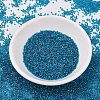MIYUKI Delica Beads SEED-J020-DB2385-2