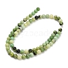 Natural Serpentine Beads Strands G-Z110-C04-6mm-3