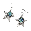 Paua Shell and 304 Stainless Steel Dangle Earrings EJEW-JE07471-03-4