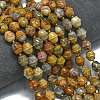 Natural Crazy Agate Beads Strands G-K389-D04-01-2