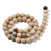 Natural Picture Jasper Beads Strands G-G184-A03-01-3