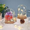  2 Sets High Borosilicate Glass Dome Cover DJEW-NB0001-20-4